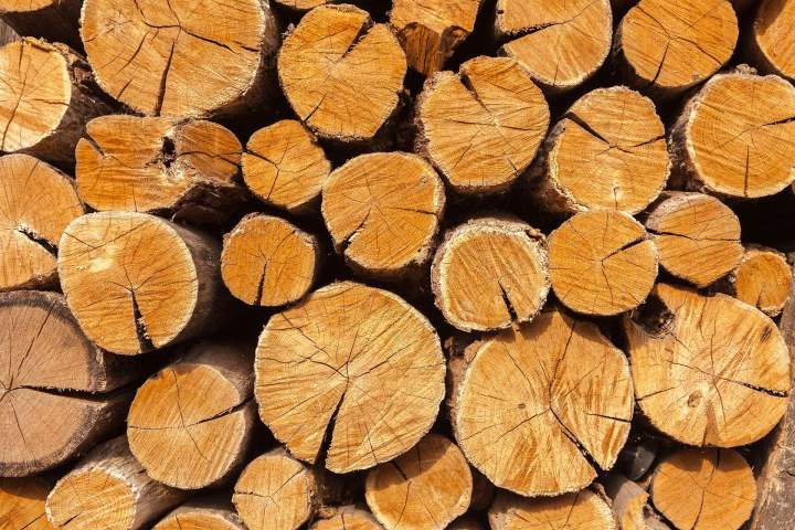 Achat de bois sur pied Île-de-France